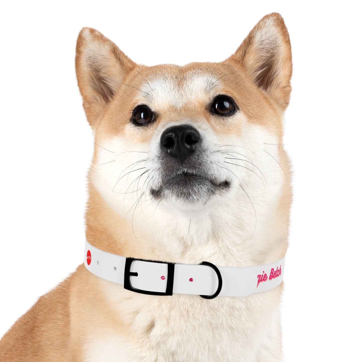 Bougie Betch Dog Collar