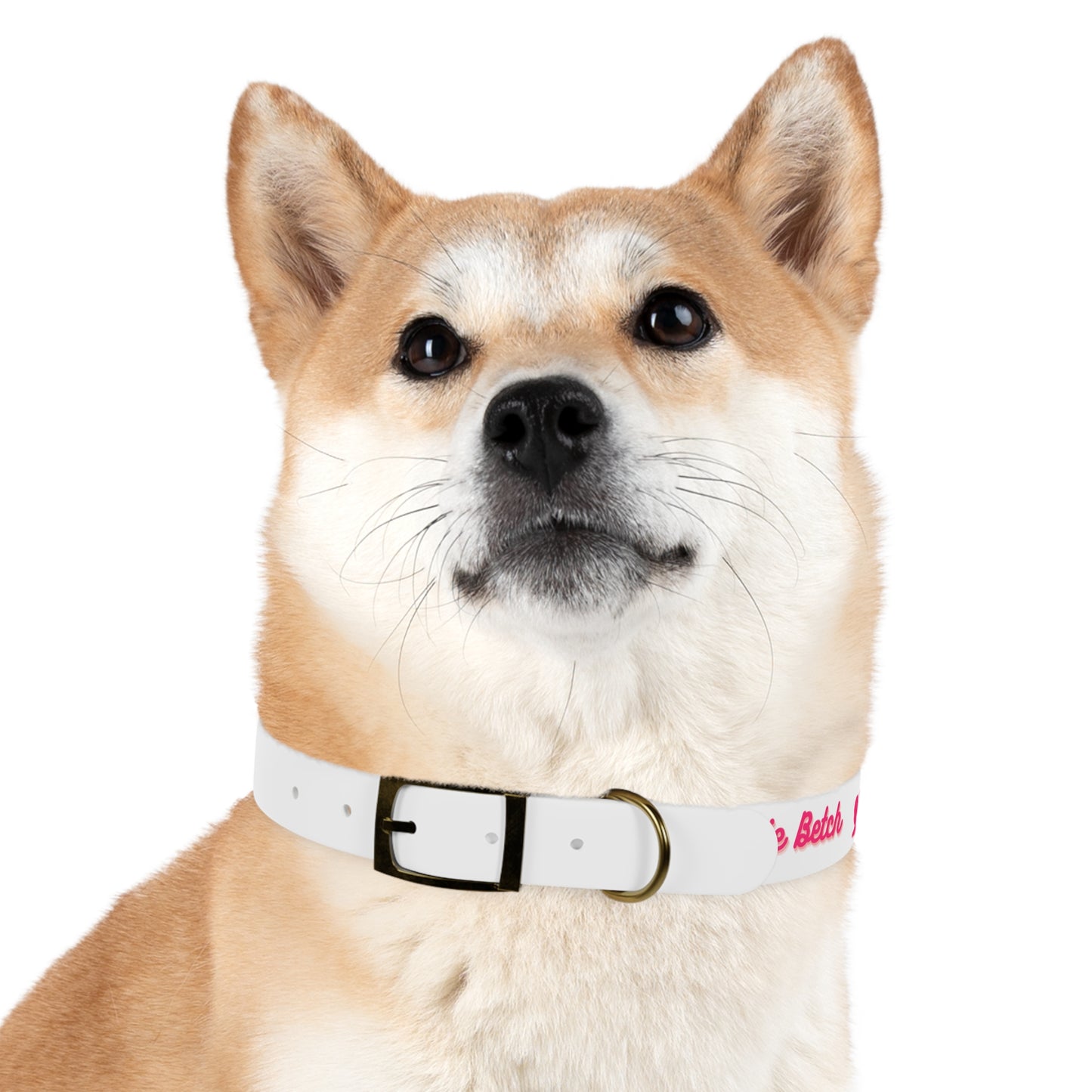 Bougie Betch Dog Collar