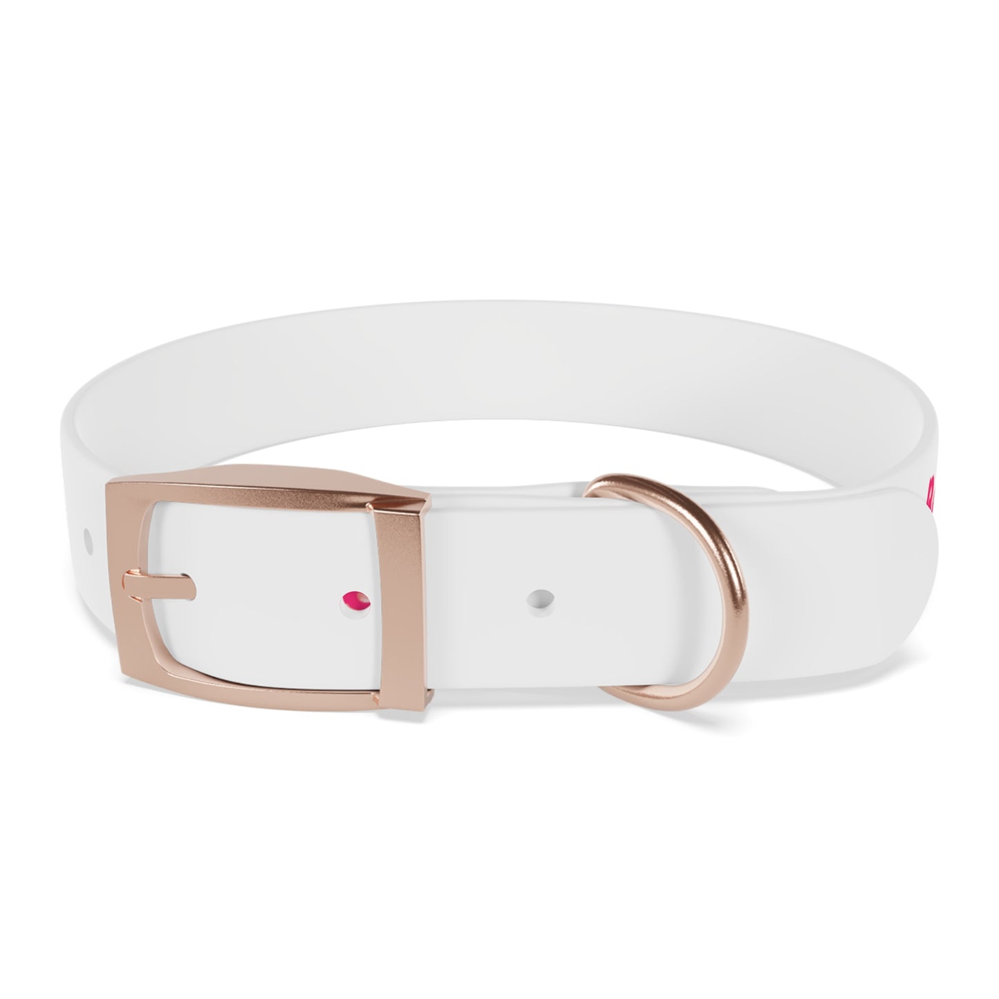 Bougie Betch Dog Collar