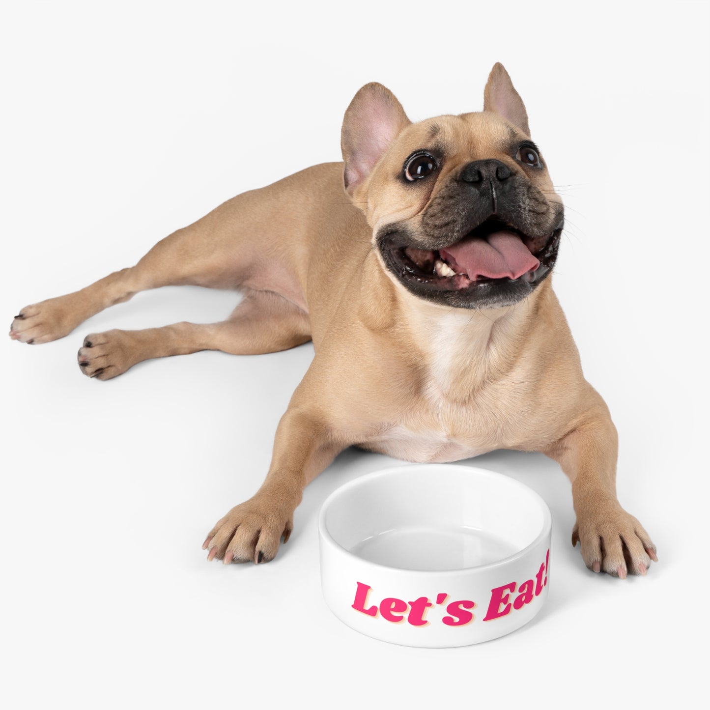 Let's Eat! Pet Bowl